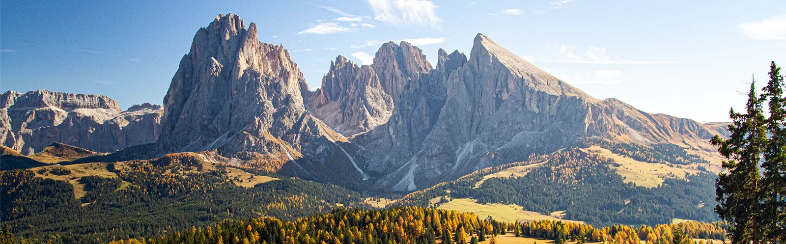 Revista digital GADE 1T/2024