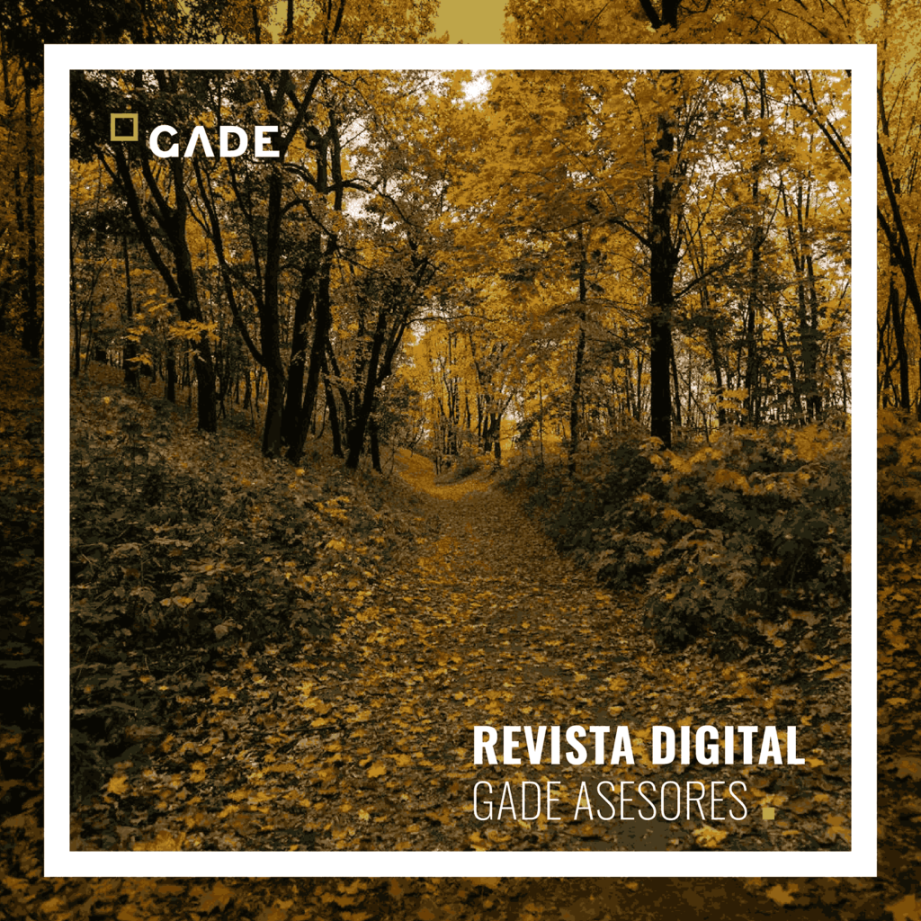 Revista digital GADE 4T/2024