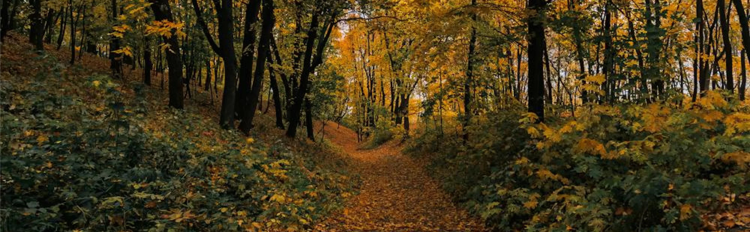 Revista digital GADE 4T/2024