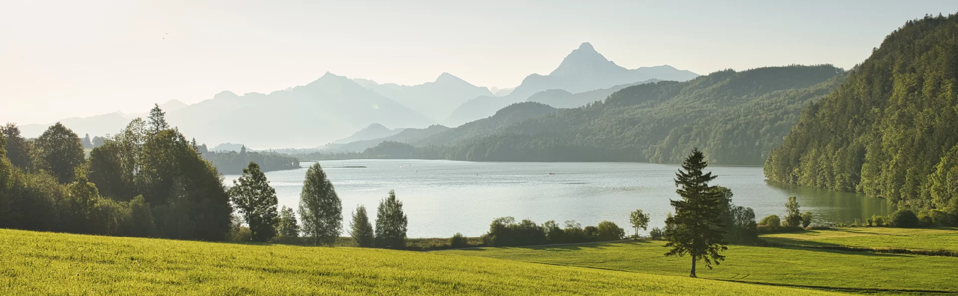 Revista digital GADE 1T/2025